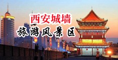 大胸逼流水中国陕西-西安城墙旅游风景区
